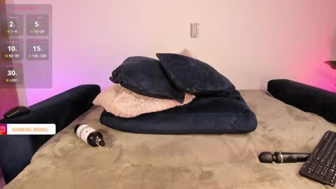 Snapshot of im_charliee chatting on January 24, 2025, 6:04 pm charlie online show from January 24, 2025, 6:04 pm