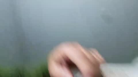 im_free_0121 online show from November 2, 2025, 11:45 am