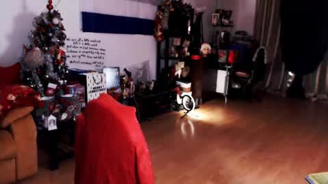 Empress online show from December 21, 2024, 3:36 am