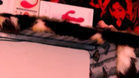 Snapshot of indian_dreamgirl chatting on November 24, 2025, 12:32 am Bella Ambrosia online show from November 24, 2025, 12:32 am