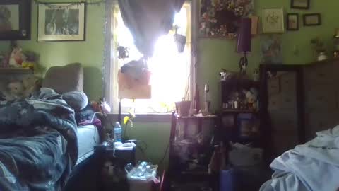 indigo_scorpio online show from February 21, 2025, 6:59 pm