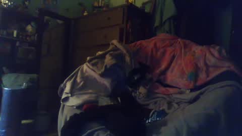 indigo_scorpio online show from February 24, 2025, 12:52 am