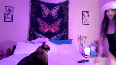 Indigo Bay online show from February 3, 2026, 5:05 am