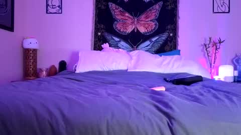 Indigo Bay online show from February 14, 2026, 2:30 am