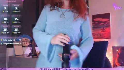 Snapshot of inthewildxxx chatting on April 29, 2026, 1:04 pm Cassie online show from April 29, 2026, 1:04 pm