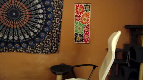 Africa online show from January 5, 2025, 8:10 pm