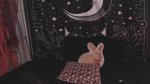    online show from January 29, 2025, 11:14 pm