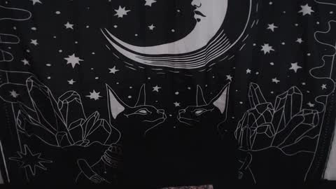    online show from January 31, 2025, 11:24 pm