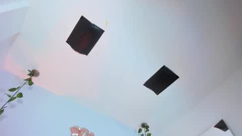   online show from November 12, 2025, 8:41 pm