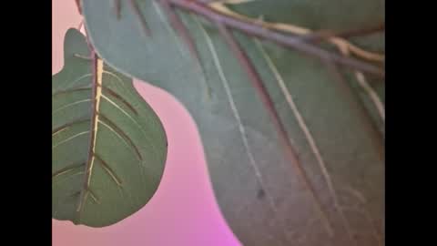 Isabella online show from September 18, 2025, 4:58 am