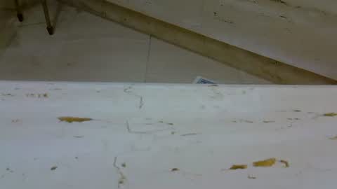 isd1969 online show from January 7, 2025, 2:41 pm