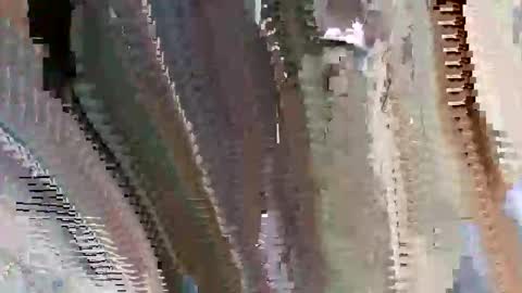 Snapshot of islandbey242 chatting on June 2, 2026, 3:14 pm islandbey242 online show from June 2, 2026, 3:14 pm
