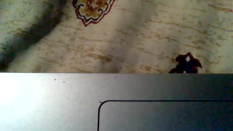 Snapshot of islandmaker chatting on May 19, 2026, 7:47 am islandmaker online show from May 19, 2026, 7:47 am