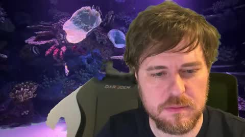 Snapshot of itpain chatting on December 4, 2025, 12:53 am pain online show from December 4, 2025, 12:53 am