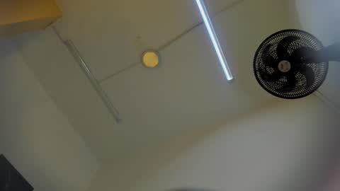 Ivo Beischel online show from November 19, 2025, 11:32 am