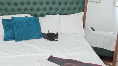 IvyHotFoxy online show from February 13, 2026, 12:01 pm