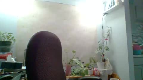 ivyjane3522 online show from May 7, 2026, 2:00 pm