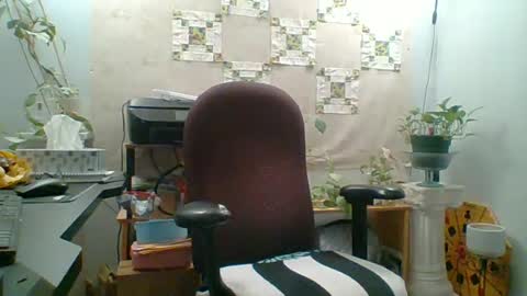 ivyjane3522 online show from June 17, 2026, 12:24 am