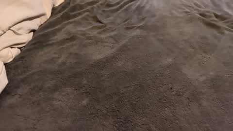 j_m12397 online show from February 27, 2026, 3:17 am