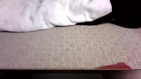 jack_wonder912 online show from September 13, 2025, 4:12 am