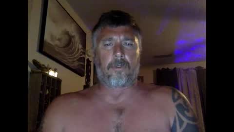 Snapshot of jackhammerhead chatting on April 24, 2026, 12:46 am jackhammerhead online show from April 24, 2026, 12:46 am