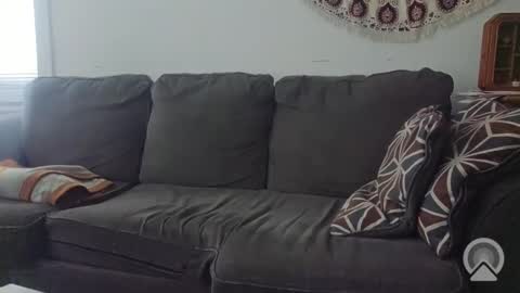 Jake online show from November 20, 2025, 6:40 pm