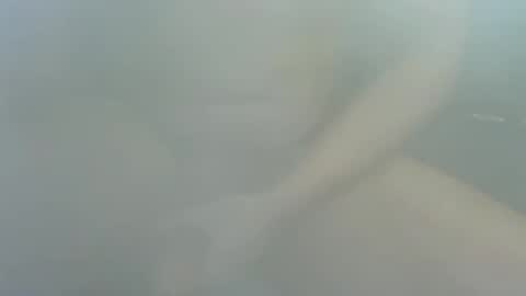 Snapshot of james2377_ chatting on December 22, 2025, 2:25 pm James2377 online show from December 22, 2025, 2:25 pm