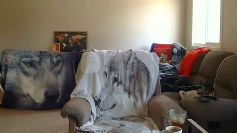 Snapshot of jameswolf777 chatting on December 22, 2025, 8:06 pm jameswolf777 online show from December 22, 2025, 8:06 pm