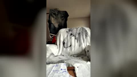 jameswolf777 online show from May 30, 2026, 2:25 pm