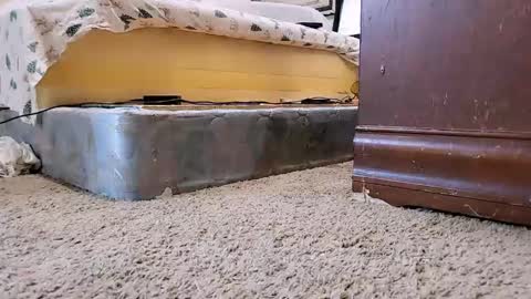 Bootyshows online show from September 9, 2025, 12:26 pm