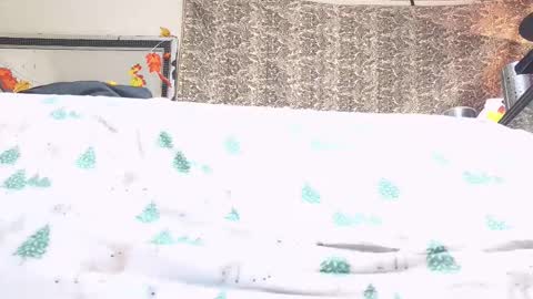 Bootyshows online show from October 23, 2025, 4:17 pm