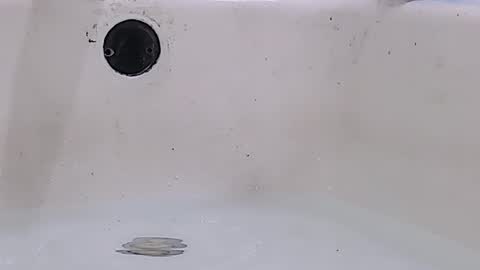 Bootyshows online show from March 16, 2026, 11:58 am
