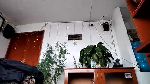 janariivera1 online show from February 11, 2026, 2:44 pm