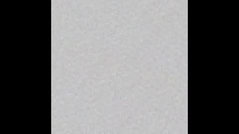 Dicky Down online show from December 1, 2025, 8:41 am