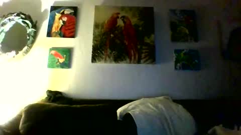 jay-jay1475 online show from January 31, 2026, 10:08 pm