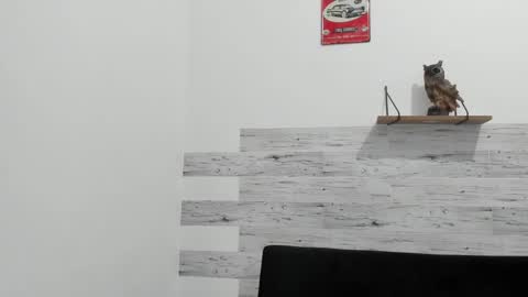 Jaycreedd online show from February 13, 2025, 4:32 am