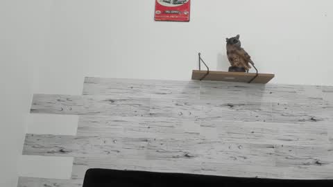 Jaycreedd online show from February 18, 2025, 6:47 pm