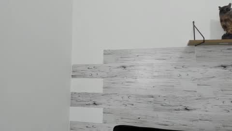 Jaycreedd online show from February 22, 2025, 6:28 am