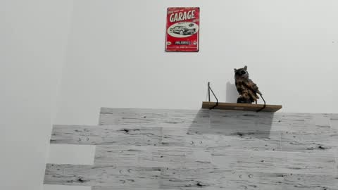 Jaycreedd online show from February 23, 2025, 3:56 am