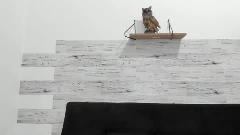 Jaycreedd online show from September 10, 2025, 3:39 am