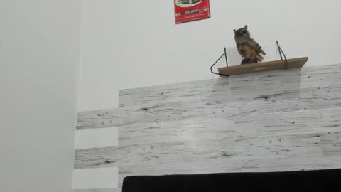 Jaycreedd online show from October 5, 2025, 1:26 am