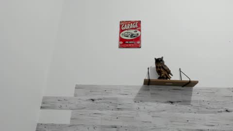 Jaycreedd online show from November 21, 2025, 3:27 am