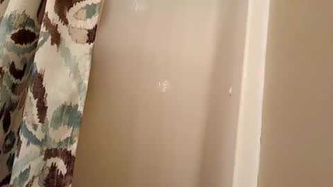 jaywulf22 online show from November 4, 2025, 4:33 am