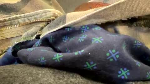 jbigblue online show from September 28, 2025, 3:28 pm