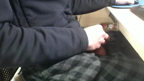 Snapshot of jc200000 chatting on January 29, 2025, 6:07 pm jc200000 online show from January 29, 2025, 6:07 pm