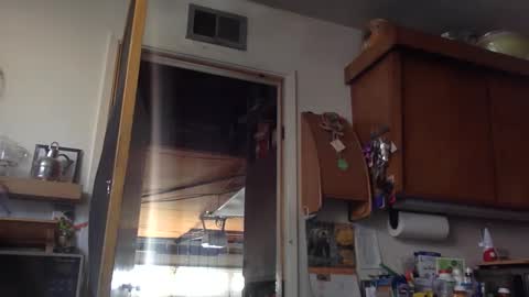 jdubba420 online show from October 27, 2025, 11:09 pm