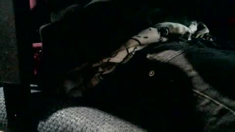 Snapshot of jebblynch42 chatting on February 19, 2026, 4:47 pm JJ Banks online show from February 19, 2026, 4:47 pm