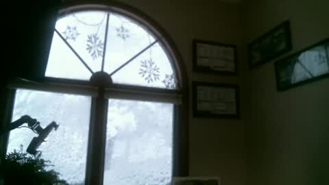 Snapshot of jeffbte315 chatting on January 2, 2025, 9:07 pm jeffbate online show from January 2, 2025, 9:07 pm