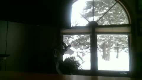 Snapshot of jeffbte315 chatting on February 12, 2025, 2:21 pm jeffbate online show from February 12, 2025, 2:21 pm