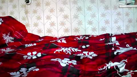 jellykulli online show from December 31, 2024, 9:31 am